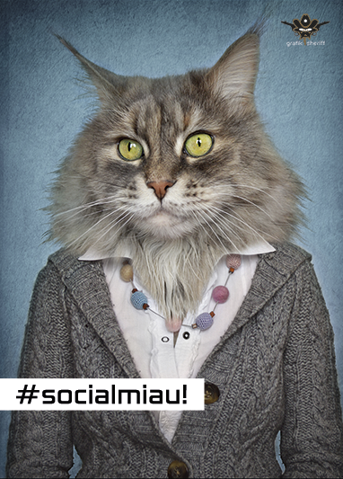 socialmiau